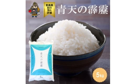 青森県産 青天の霹靂 精米済み 5kg【1657761】