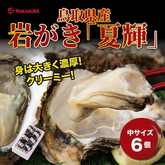 【ふるさと納税】鳥取県産 岩がき「夏輝」【中村商店】 | 牡蠣 カキ 送料無料