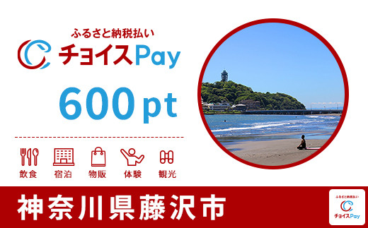 
            藤沢市チョイスPay 600pt（1pt＝1円）【会員限定のお礼の品】
          