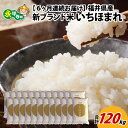 【ふるさと納税】【6ヶ月連続お届け】令和6年度産 福井県産新ブランド米 いちほまれ 20kg（5kg×4袋）×6ヶ月（計120kg） / 白米 精米 ご飯 ごはん 定期便