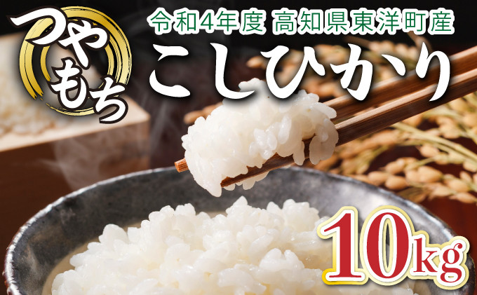 
            令和6年産 コシヒカリ 10kg　米 こしひかり 白米 こめ コメ 人気 精米　S138
          