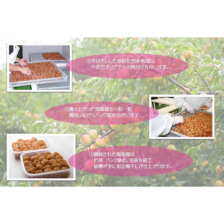 【定期便3回】紀州南高梅はちみつ極塩分約6％（850g）