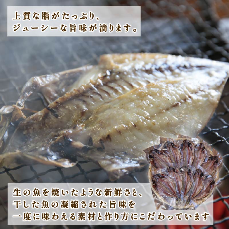 干物 伊豆 下田 ひもの万宝 の アジ の 干物 10枚 セット 詰合せ 干物セット あじ 塩干し 天日塩 手開き 詰め合わせ ギフト 保存料 化学調味料 無添加 魚介類 干物専門店 冷凍 静岡 伊豆