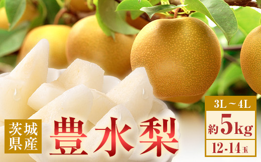 
            350 豊水梨 約5kg 12～14玉 3L～4L 梨 なし 【先行予約 2025年 8月下旬ころより順次発送予定】
          