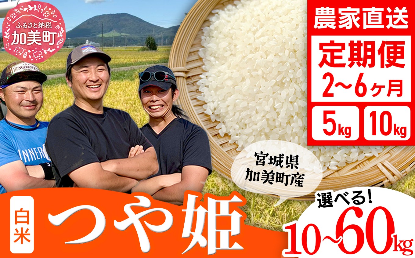 
                  【新米予約】つや姫 5kg / 10kg 定期便 【選べる配送回数：2〜 12ヶ月 】 令和8年産 先行予約（2026年10月中旬～発送） 米 宮城県産 3ヶ月 6ヶ月 白米 精米 ご飯 ごはん コメ こめ お米 小分け 家庭用 結心ファーム [ 宮城県 加美町 ]   [yu-th-r8-t-oya] 
                