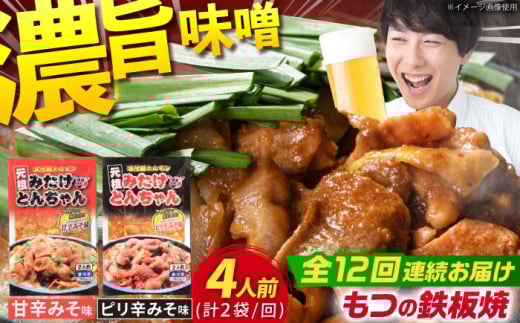 【12回定期便】岐阜県産豚もつの鉄板焼き「元祖みたけとんちゃん」甘辛＆ピリ辛 各1袋（4人前） / モツ もつ 白もつ ホルモン / 御嵩町 / 藤よし [AVAA014]