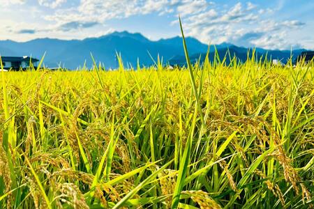 北アルプスの雪解け水で育った一等米コシヒカリ 5KG