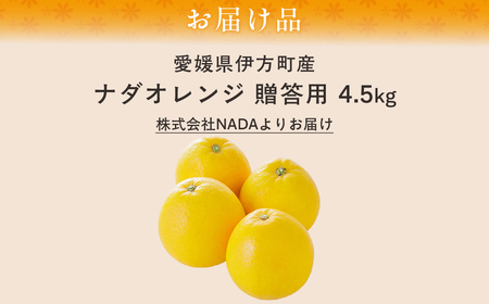 【先行予約】【農家直送】愛媛県産 ナダオレンジ 贈答用 4.5kg（2025年5月中旬より順次発送） IKTC012 