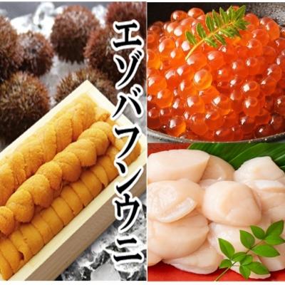 ふるさと納税 根室市 エゾバフンウニ1折、いくら(鱒卵)1P、ホタテ500g[2027年1月中旬以降発送] E-40003