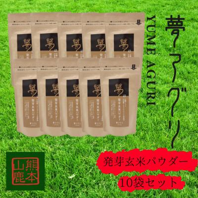 ふるさと納税 山鹿市 発芽玄米パウダー100g×10袋【株式会社夢アグリ】《山鹿市》