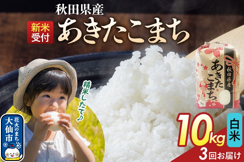 
                  《令和8年産新米予約》 《定期便3ヶ月》【白米】あきたこまち 10kg（5kg×2） 秋田県産  こまちライン 秋田県 大仙市産 [秋田 お米 米どころ あきたこまち こまちライン]
                