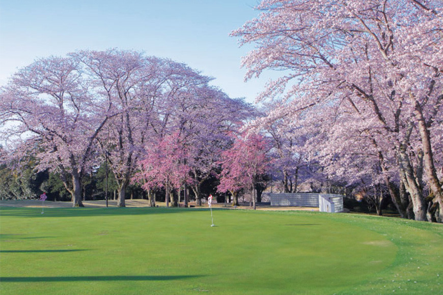 桜の宮ゴルフ?楽部 ゴルフプレ－補助券 5000円分