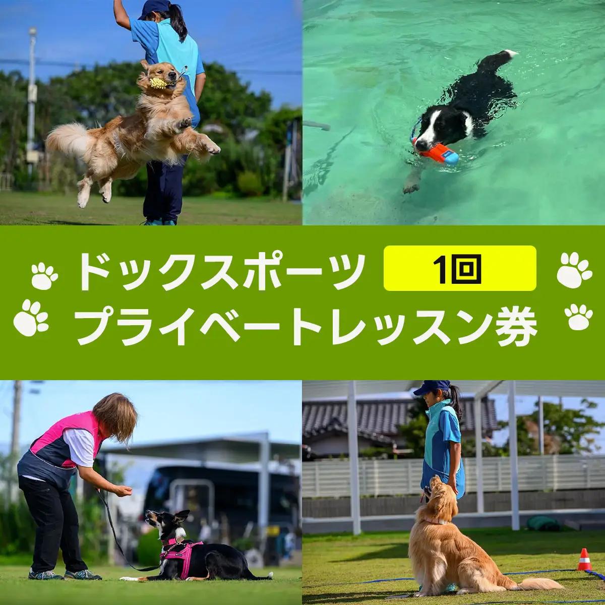 ドックスポーツ プライベートレッスン券（１回/１時間） ふるさと納税 ドッグスポーツ 利用券 チケット 犬 イヌ 千葉県 白子町 送料無料 SHAI001