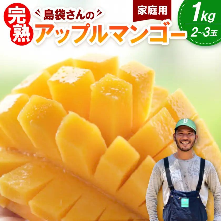 【2026年7月上旬から順次発送・家庭用】島袋さんの完熟アップルマンゴー 1kg(2～3玉)【配送不可地域：離島】【1726286】