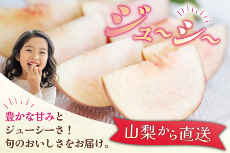 【2026年発送】 訳あり 桃 山梨 大玉 8～10玉 約 3kg もも モモ 3キロ 果物 フルーツ くだもの 果実 朝採れ 朝どれ 旬 季節限定 期間限定 数量限定 冷蔵 大玉桃 デザート 農家直