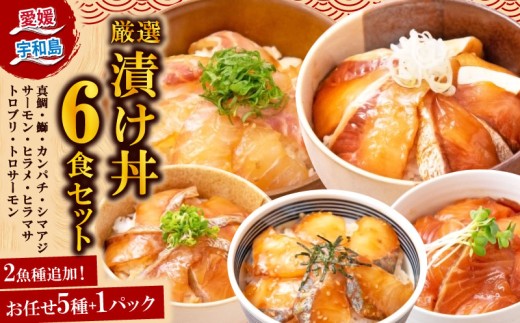 漬丼 厳選 活締め 全9種 お任せ 漬け丼 6食 セット 南予ビージョイ 5種 +1パック 鮭 サーモン 鰤 ブリ 真鯛 鯛 カンパチ 縞鯵 シマアジ 鯵 あじ ヒラメ ひらめ 平目 ヒラマサ ひらま