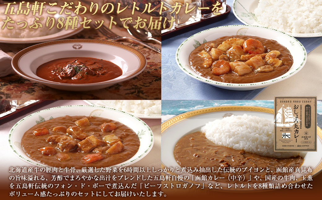 五島軒 レトルトカレー＆ビーフストロガノフセット HOKE017