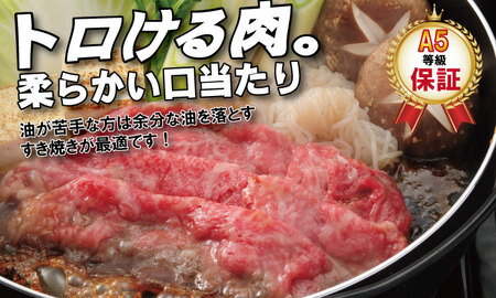 【定期便】佐賀牛 A5 焼肉・しゃぶしゃぶすき焼き 厳選部位 合計800g（400g x 各1P）6回定期 計4.8kg(800gx6)  Q126-003 桑原畜産 小分け ブランド牛 黒毛和牛 牛