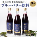 【ふるさと納税】果汁50％ブルーベリー飲料3本セット ブルーベリー ブルーベリー飲料 フルーツ 果物 フルーツジュース ジュース ビタミンE アントシアニン 栄養 目にいい 健康 美容 瞳の健康 ギフト 贈り物 茨城県産 人気 プレゼント セット ドリンク 9－A