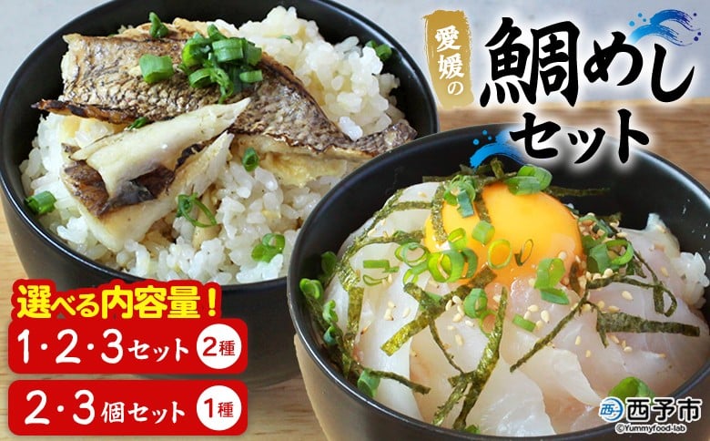 
            ＜愛媛の鯛めしセット（宇和島風・松山風）＞選べるセット内容 個数 鯛 真鯛 まだい マダイ 天然真鯛 2種 郷土料理 丼 魚介 海の幸 海鮮 炊き込みご飯 食べ比べ お試し 詰め合わせ 詰合せ YNコーポレーション 愛媛県 西予市【冷凍】『1か月以内に順次出荷』
          