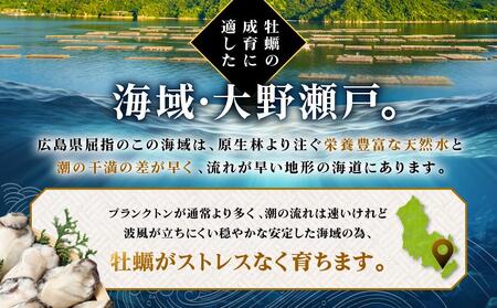 独自ブランド「讃美牡蠣」のこだわり冷凍大粒牡蠣！★北海道、沖縄県、離島配送不可★【牡蠣 広島カキ 宮島 冷凍 牡蠣 大粒 濃厚 牡蠣 希少 かき 牡蠣 鍋 牡蠣 冷凍 簡単調理 牡蠣 フライ アヒージ