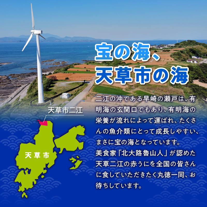 S157-008_天草二江の養殖赤うに 80g 80g