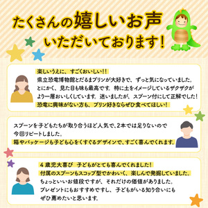 恐竜発掘プリン 特製ギフトボックス 6個入 スプーン2本付 冷凍 プリン 永平寺　B-026037