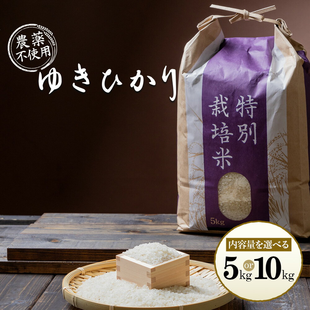 【ふるさと納税】【2025年産】 選べる内容量！ 北海道産 ゆきひかり《5kg or 10kg》（無化学肥料・農薬不使用）｜ お米 米 精米 安心 安全 北海道米 ゆきひかり 農薬不使用 ご飯 お弁当 北海道 羽幌町 羽幌 ふるさと納税