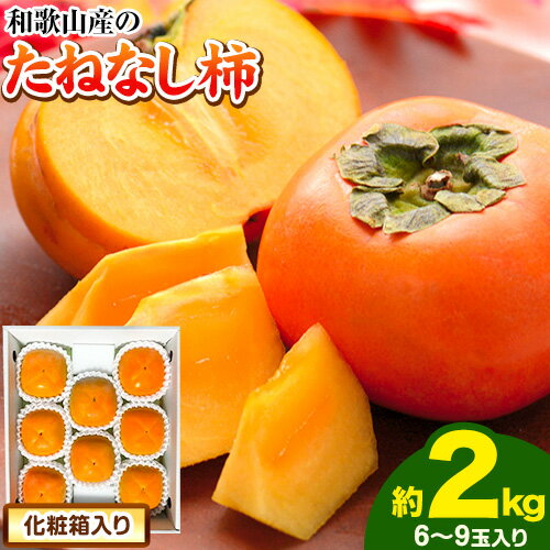 【ふるさと納税】◆先行予約◆ 【秋の味覚】和歌山産のたねなし柿2L〜4Lサイズ約2kg（化粧箱入り）《9月上旬-11月下旬頃出荷予定》 和歌山県 日高町 厳選館　かき 種なし 柿 果物 フルーツ 青果