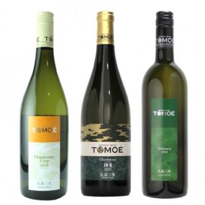 ふるさと納税 三次市 ソムリエ厳選!冷やして飲みたい絶品　白ワイン3本セット