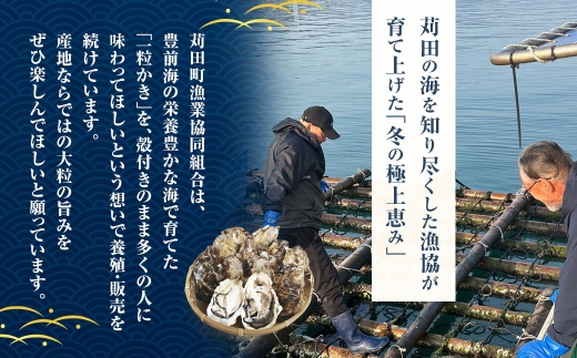 苅田一粒かき 加熱用 中サイズ 約5kg （ 65個以上 ）  牡蠣 一粒かき プリプリ かきフライ 網焼き かき鍋 かき飯  ブランド牡蠣【 2027年1月上旬～2月下旬発送予定 】
