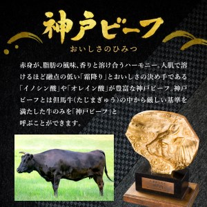 神戸ビーフ　うす切り・切り落とし肉セット【1.1㎏】TYS3