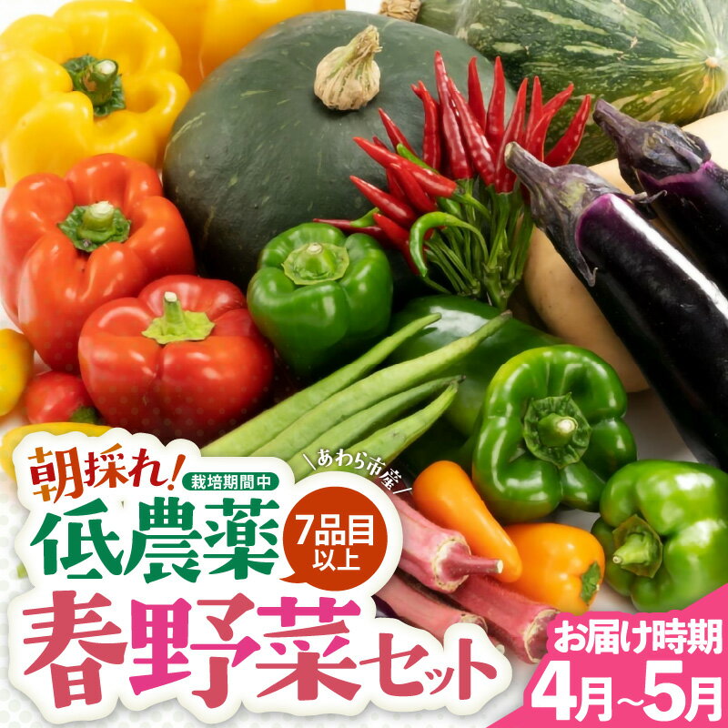 【ふるさと納税】【先行予約】農家直送 春野菜セット 1箱 7品目以上 《元気に育った新鮮野菜！》／ 季節 春 野菜 ボックス BOX セット セレクト 農家 おまかせ 多品目 旬 詰め合わせ ※2026年4月下旬より順次発送