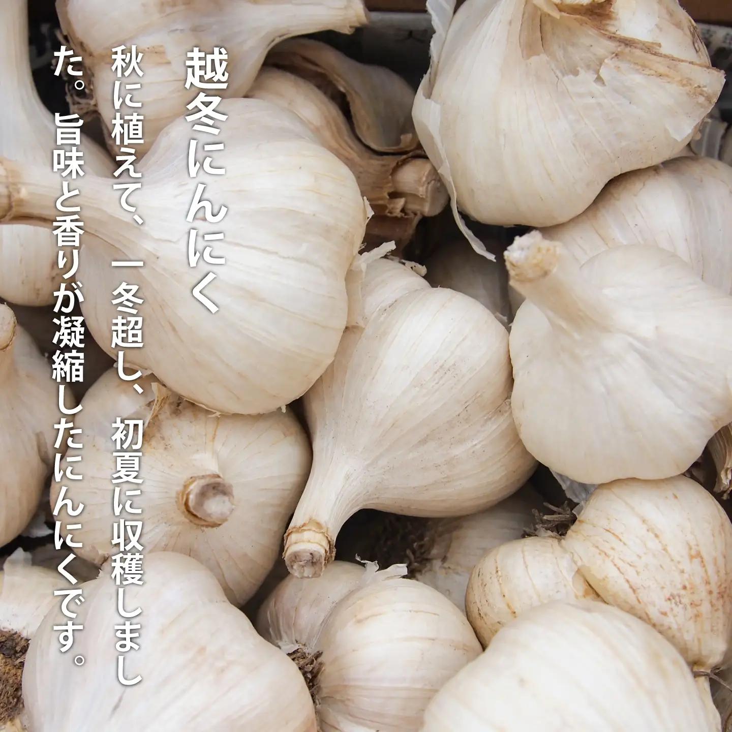 にんにく バラ 800g 訳あり ニンニク ばら 小分け 粒 便利 産地直送 北海道産 国産 北海道 7000円 10000円 以下 当麻町 お取り寄せ 送料無料 数量限定 美頭農園【AK-011】