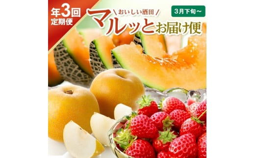 【3回定期便】おいしい酒田 マルっとお届け便2026(1) 3月下旬～ (いちご、紅花メロン、刈屋梨) SE0484