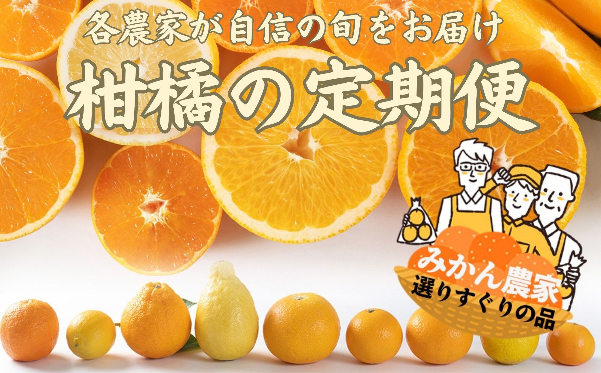 
                  みかん定期便 全10回 温州みかん 蜜柑 ミカン 柑橘 かんきつ 定期便 和歌山県 海南市 農園直送  早生 ゆら 完熟 蔵出し 津之輝 清見オレンジ 不知火 みかんジュース 果物 フルーツ 国産 産地直送
                