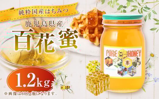 【純粋国産はちみつ】鹿児島県産 百花蜜 1.2kg 上野養蜂えん ハチミツ はちみつ はち蜜 蜂蜜 国産 AS-829