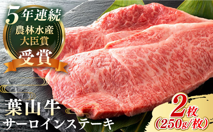 
【葉山牛】500g　サーロインステーキ ／ 牛肉 黒毛和牛 神奈川県 特産品【葉山牛ステーキレストラン 角車】 [ASBD008]
