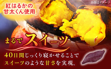 紅はるか（甘太くん）焼き芋 約1.5㎏ /愛まんてん[UBD008]