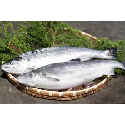 ふるさと納税 女川町 近海お刺身詰め合わせ(サーモン・ひらめ・真鯛・平目昆布〆) 各60g×2パック |  | 02