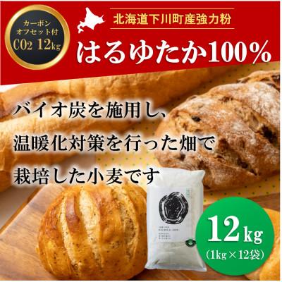 ふるさと納税 下川町 北海道下川町産はるゆたか100%(強力粉) バイオ炭施用 カーボン・オフセット付 12kg