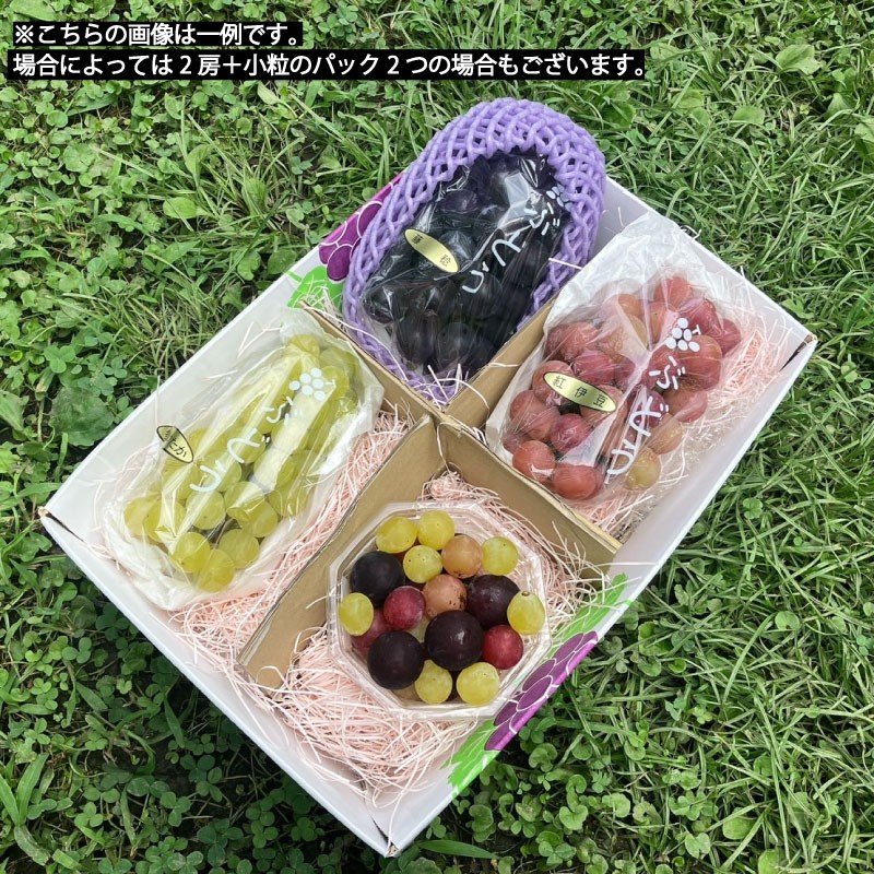 お届け内容イメージ