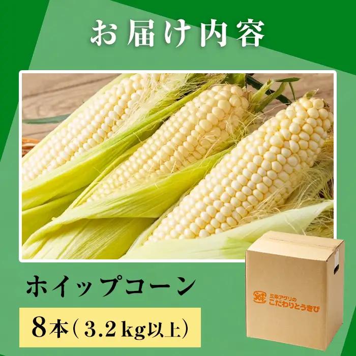 スイートコーン ホイップコーン 北海道 8本 2026年8月下旬より発送 【三栄アグリ】　A7096