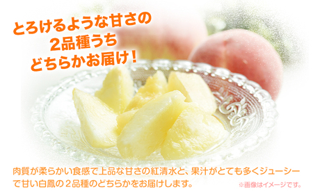 【2025年7月発送】【先行予約】もも 桃 紅清水・白鳳 どちらかお届け 2kg 6～9玉 小寺農園《2025年7月上旬-7月下旬頃出荷》 岡山県 笠岡市 岡山県産 紅清水 白鳳 モモ 果物 フルーツ