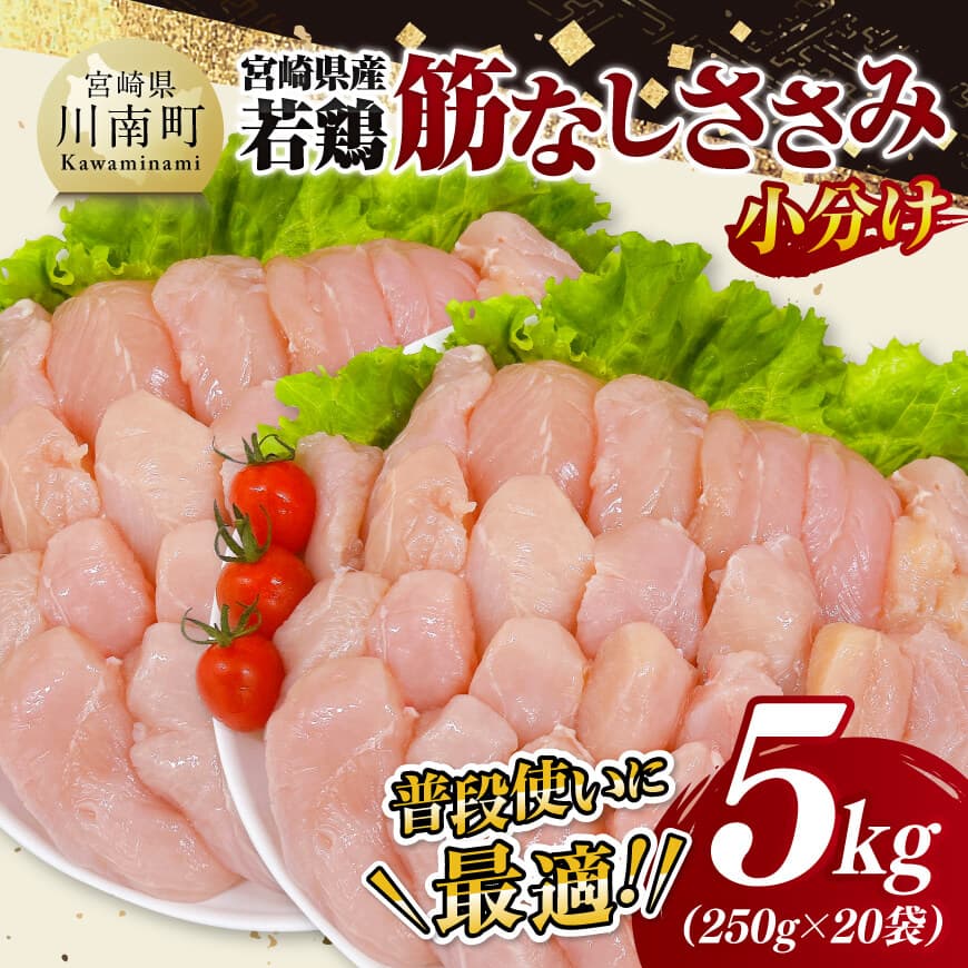 宮崎県産若鶏　筋なしささみ5kg（250g×20）　鶏肉 とり肉 ささみ [D11619]