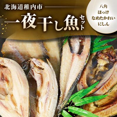 ふるさと納税 稚内市 一夜干し魚セット