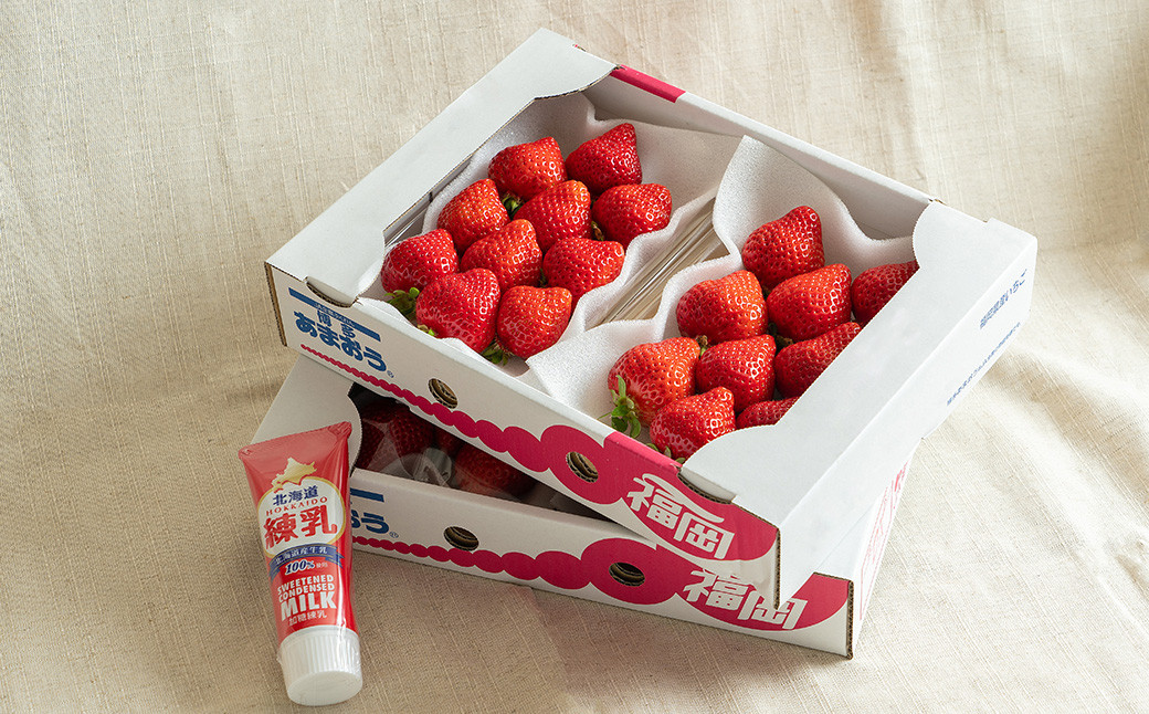 【9月30日で受付終了】福岡県産 あまおう 4パック＆練乳 いちご 苺 フルーツ 国産 セット【2024年11月下旬～2025年3月下旬発送予定】