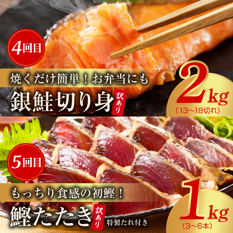 海鮮食べ比べ 定期便 全5回 総量6kg以上【サーモン ブラックタイガー 銀鱈 銀鮭 鰹 訳あり サイズ不揃い 小分け 惣菜】 kgpZ018