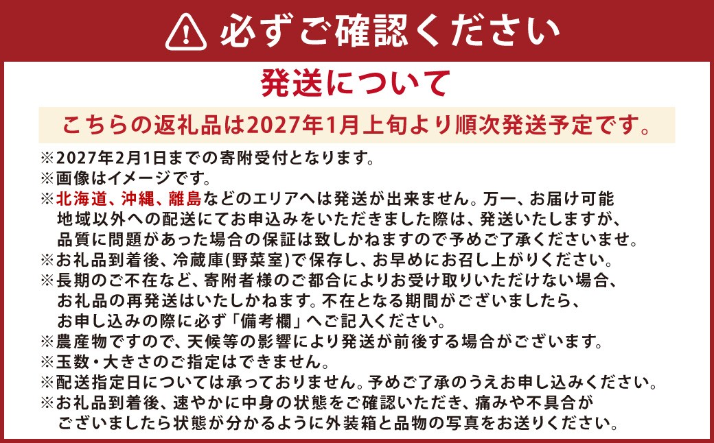 熊本県産 いちご （恋みのり）4パック 約1000g