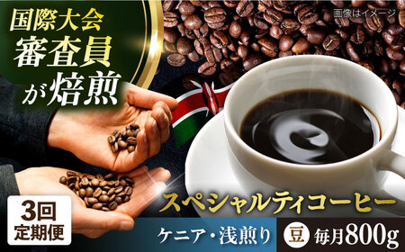 【全3回定期便】コーヒー豆 自家焙煎 浅煎り ケニア 200g×4 TSUKIKOYA COFFEE ROASTER ツキコヤ 珈琲 こだわり 横須賀【株式会社RUINS】 [AKAD019]